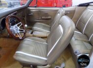Vehicle Detail New